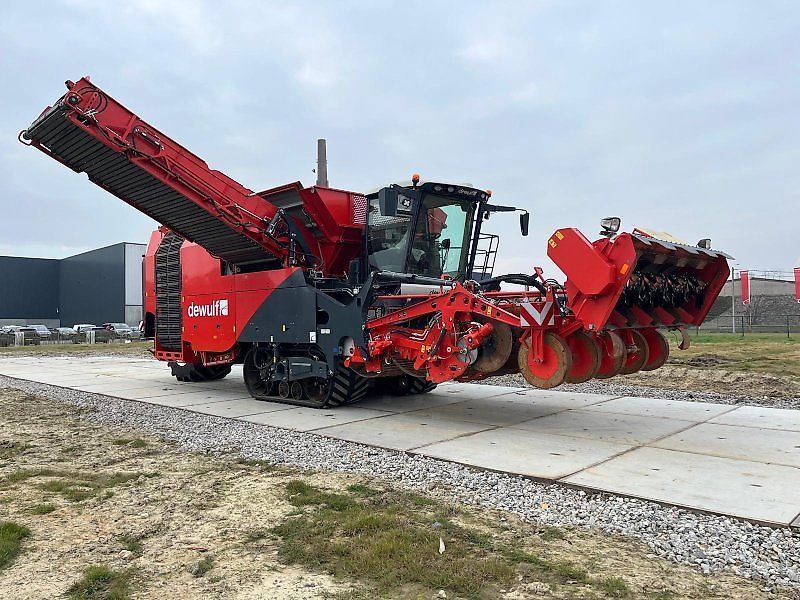 Dewulf kwatro Potato harvester