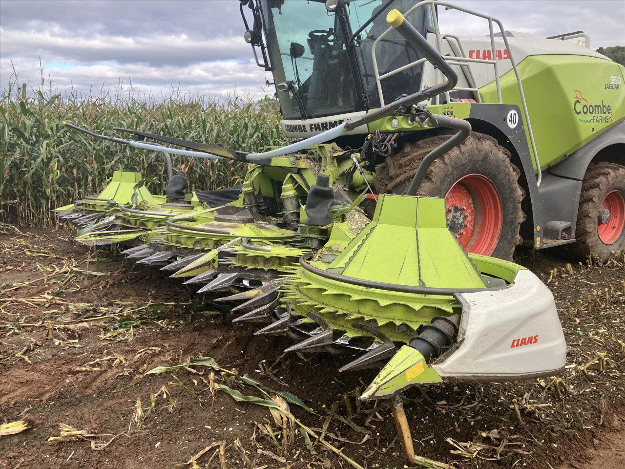 E-FARM: Claas Orbis 750 - Cosechadora de forraje autopropulsada - id 8PLVNDX - 89.265 € - Año: 2021 - Reino Unido