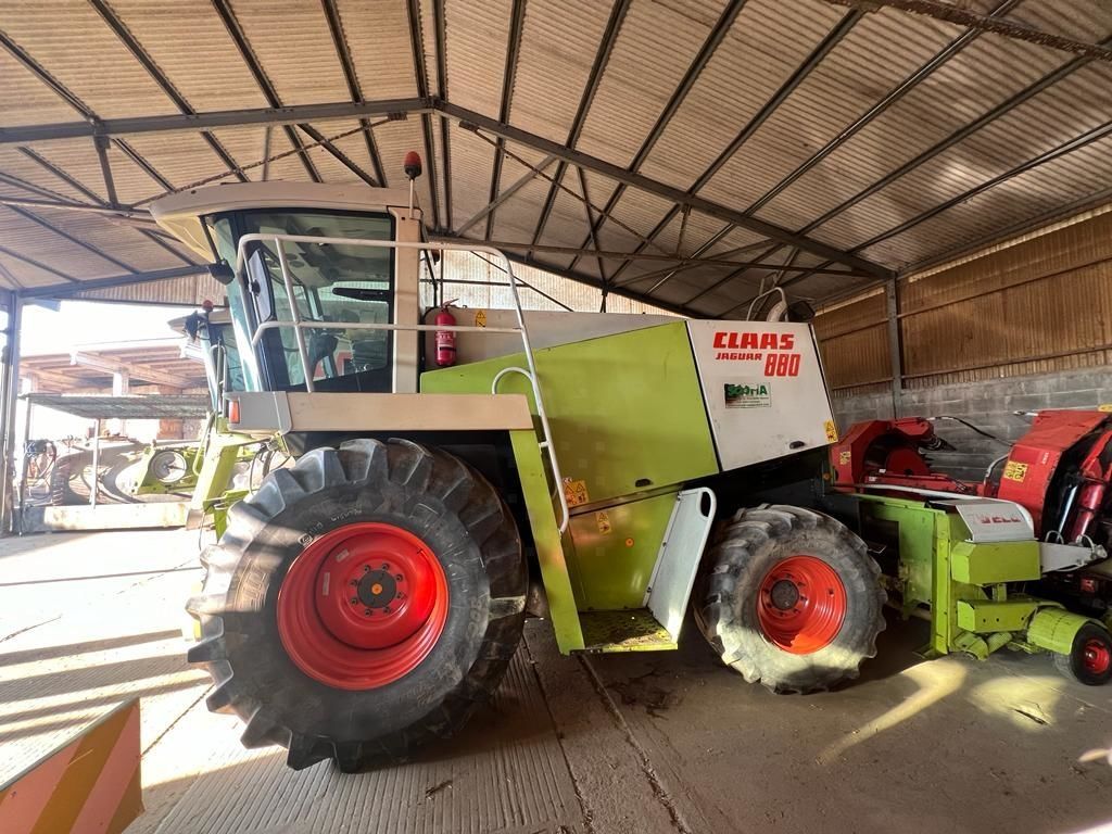 E-FARM: Claas Jaguar 880 - Ensileuse automotrice - id IKCA5PZ - Année: 1998 - Italie