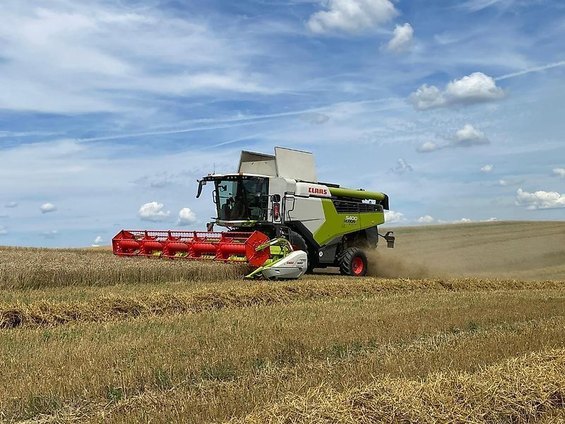 E-FARM: Claas Trion 730 - Moissoneuse-batteuse - id ZTDJLMI - 349 000 € - Année: 2024 - Lecture du nombre d'heure: 176,Puissance du moteur (chevaux): 408,Allemagne