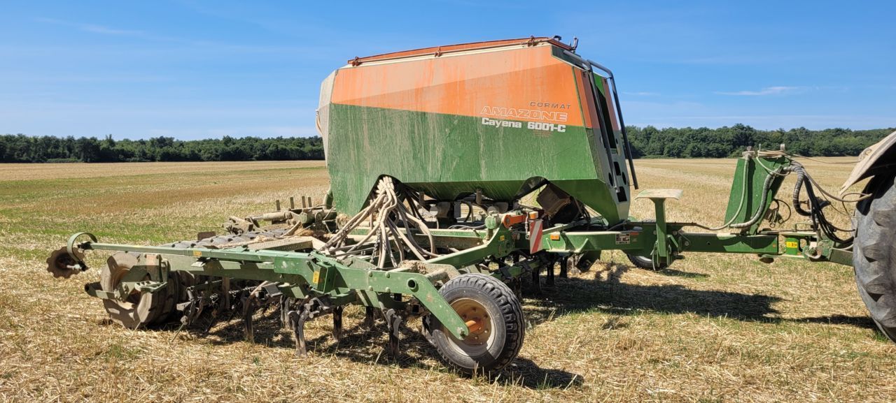 Amazone Cayena 6001 C Semoir direct 35 000 €