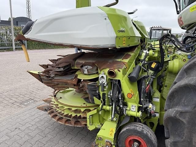 Claas Orbis 750 Hedery do kombajnów zbożowych/sieczkarni 67 500 €