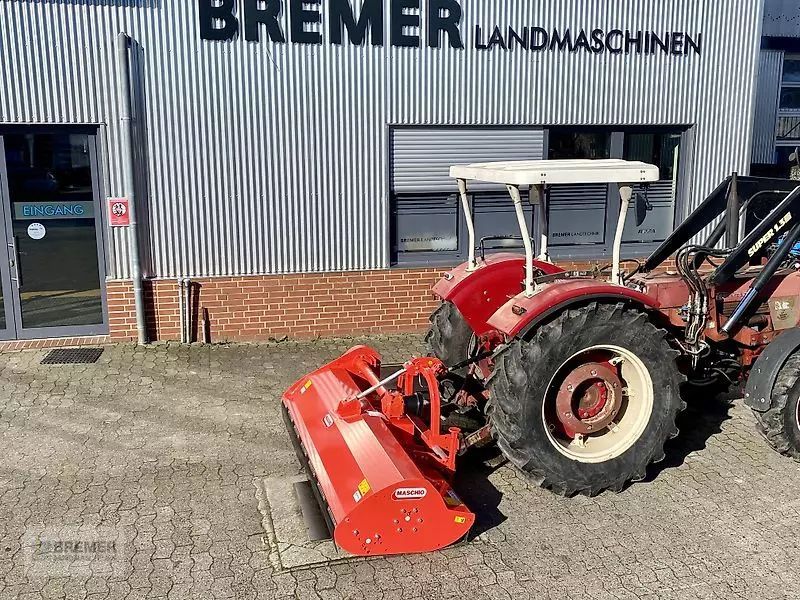 E-FARM: Maschio brava 250 - Broyeur - id NNXZYCJ - Année: 2024 - Allemagne