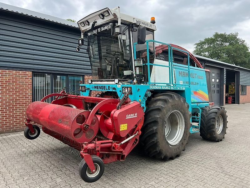 E-FARM: Mengele Mammut 6800 - Cosechadora de forraje autopropulsada - id CIJBUX2 - 17.500 € - Año: 1996 - Horas: 5900,Países Bajos