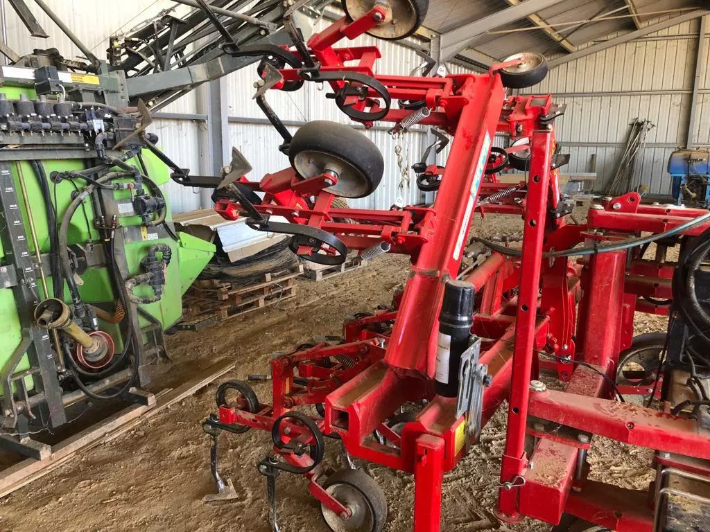 E-FARM: Einböck einbock chopstar 7 rgs - Mechanical weed control - id TLIELNE - €11,000 - Year of construction: 2020 - France