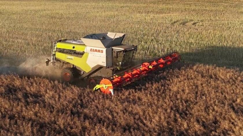 Claas Lexion 8800 TerraTrac Žitni kombajn 398.190 €