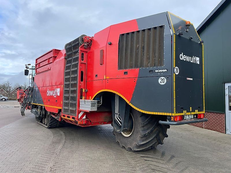 Dewulf kwatro 4 x 75 Картофелеуборочный комбайн
