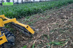 agroalex italia diablo compactdischarrow €5,100