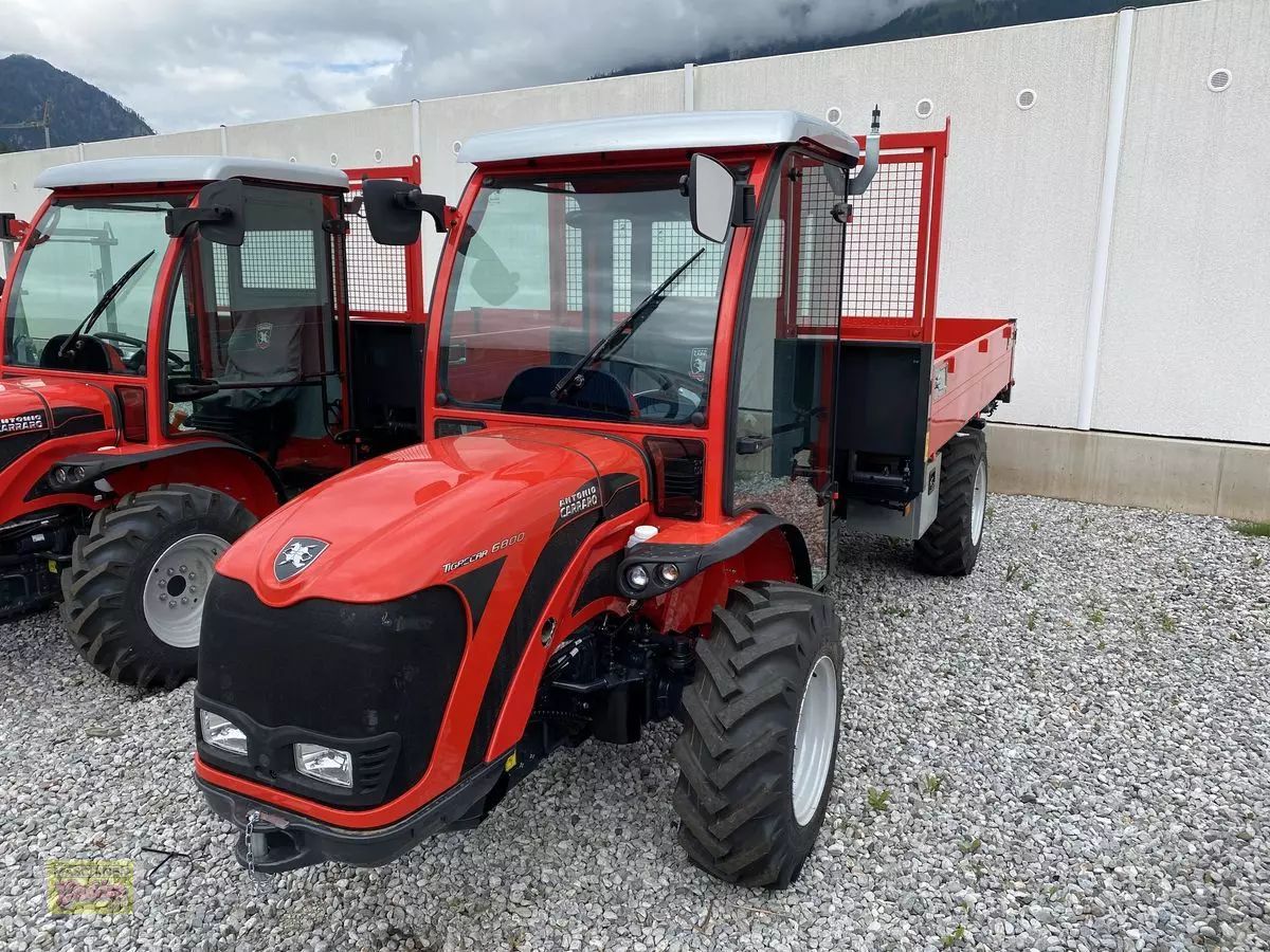 E-FARM: Carraro tigrecar 6800 - Veicolo a motore - id DV81HUY - 47.990 € - Anno di costruzione: 2024 - Austria