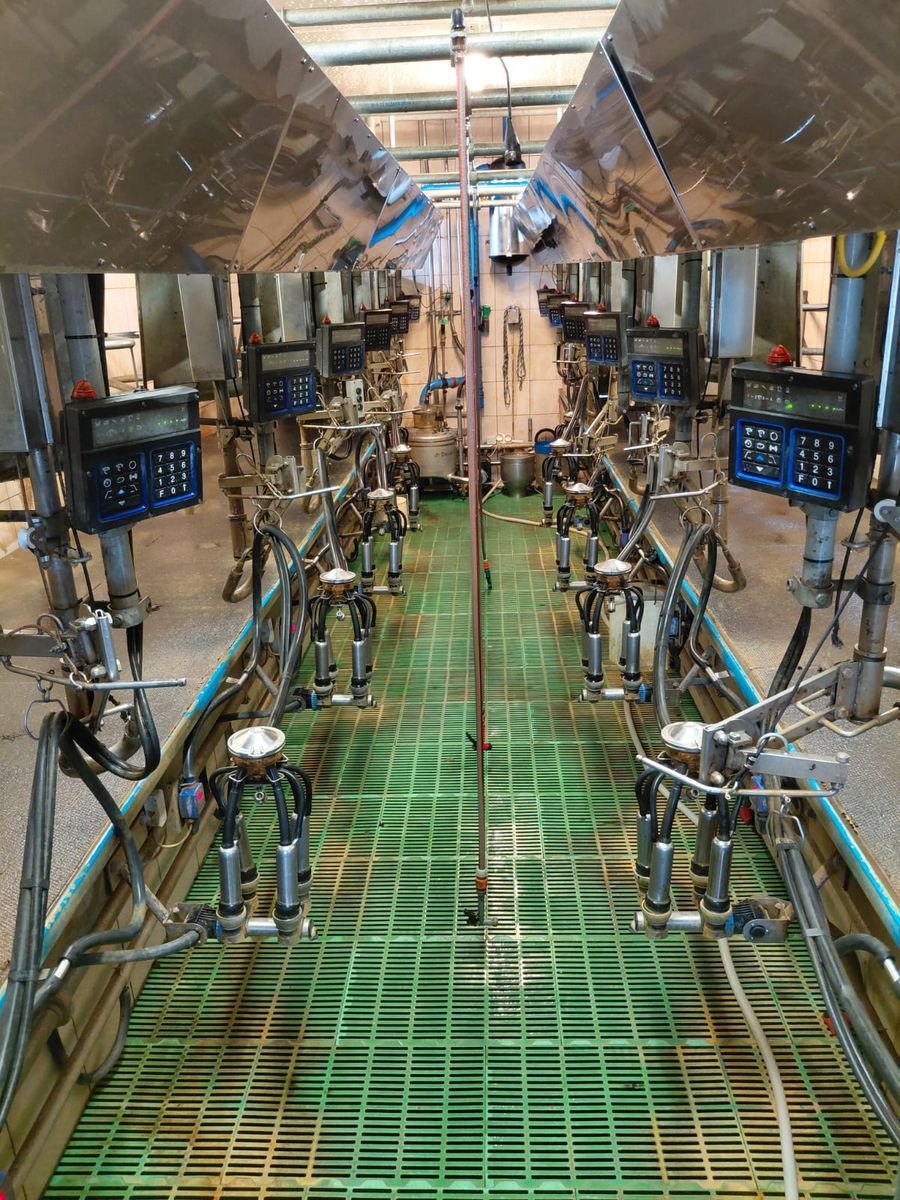 DeLaval 2x6 fischgrät Доильное оборудование 13 000 €