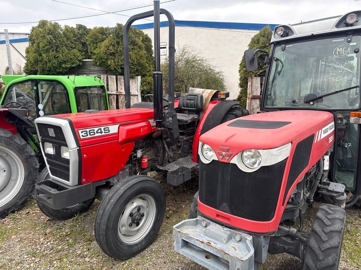 Massey Ferguson 364 S Traktor