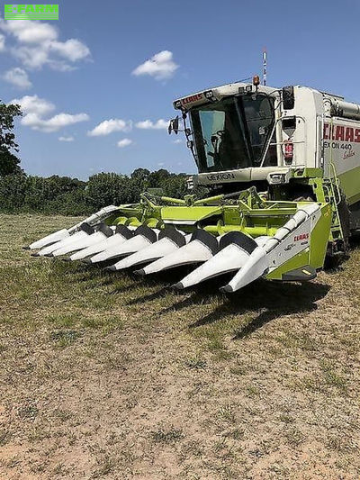 E-FARM: Claas Corio 875 FC - Header - id DIPKCNH - €59,750 - Year of construction: 2021 - Germany