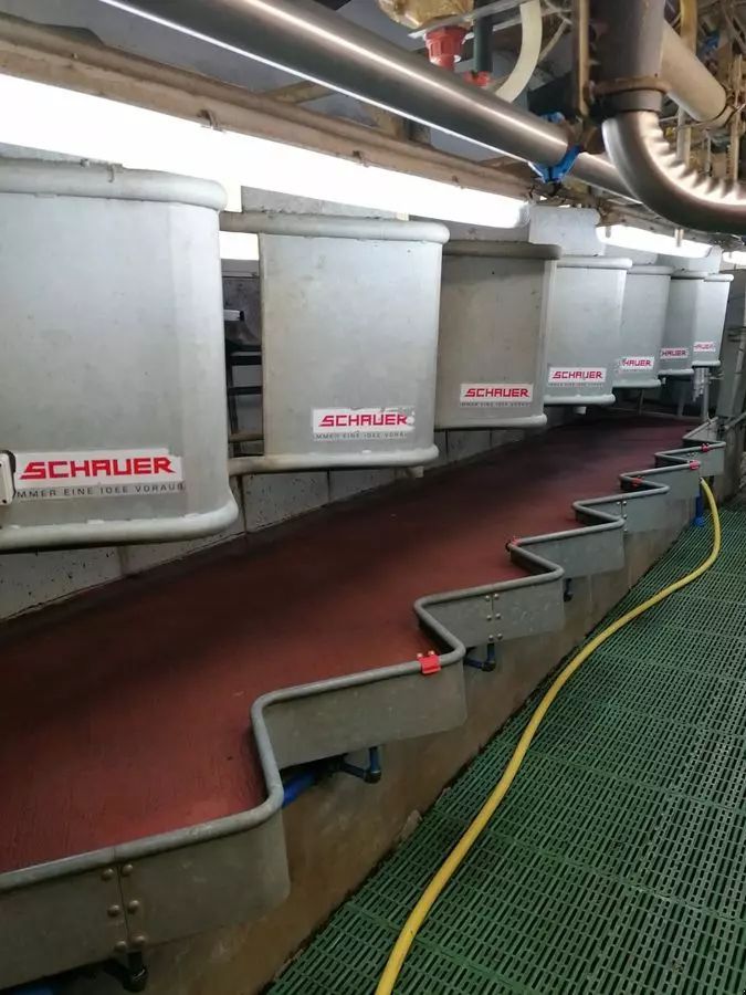 E-FARM: sonstige swingover melkstand - Equipo de ordeño - id VSZW5BF - 8850 € - Austria