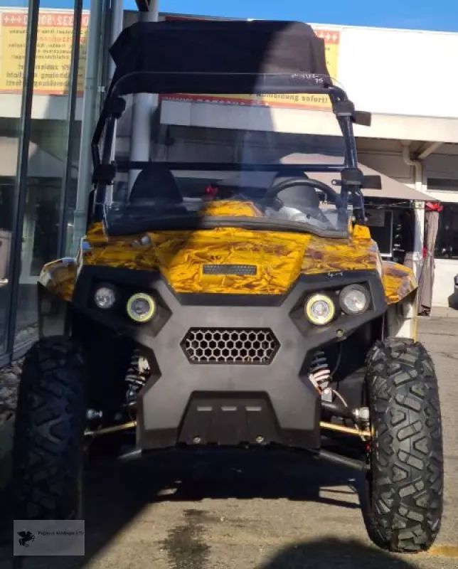 E-FARM: Other beach buggy quad atv offroad neu - Vehículo de motor - id EFTI4UD - 3192 € - Año: 2024 - Alemania