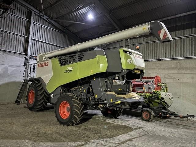 E-FARM: Claas Trion 750 - Kombajn - id R7HU2D2 - 275 346 € - Rok výroby: 2023 - Hodiny motoru: 298,Spojené království