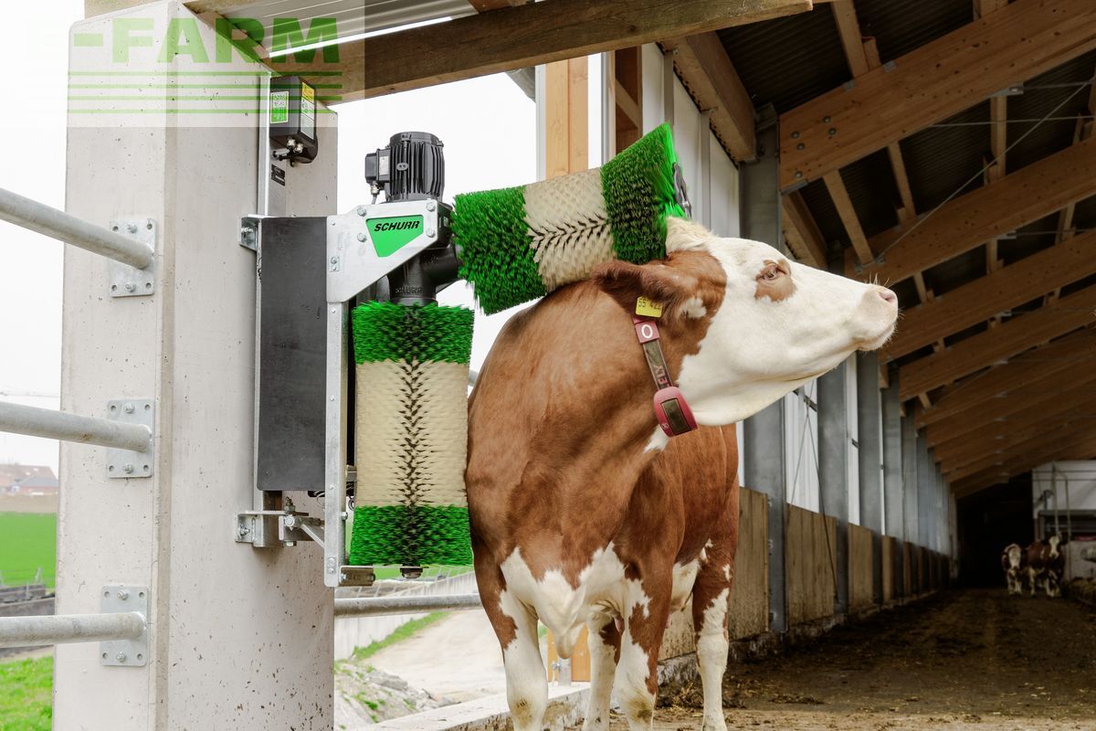 E-FARM: schurr kuhbürste d 22 - Tierhaltungsausrüstung - id ALE1EMZ - 2.375 € - Baujahr: 2023 - Österreich