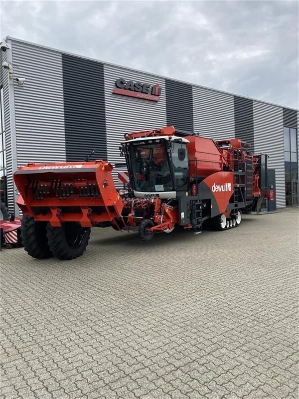E-FARM: Dewulf rqa3060 topkæde hd bagaksel, tracks, axialruller - Arracheuse de pomme de terre - id AJYDGUJ - 562 709 € - Année: 2025 - Puissance du moteur (chevaux): 350,Danemark