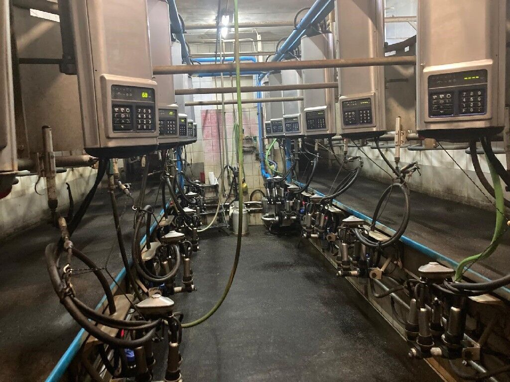 E-FARM: DeLaval melkstand komplett - Melkeinrichtung - id RRN4EQV - 22.124 € - Baujahr: 2010 - Österreich