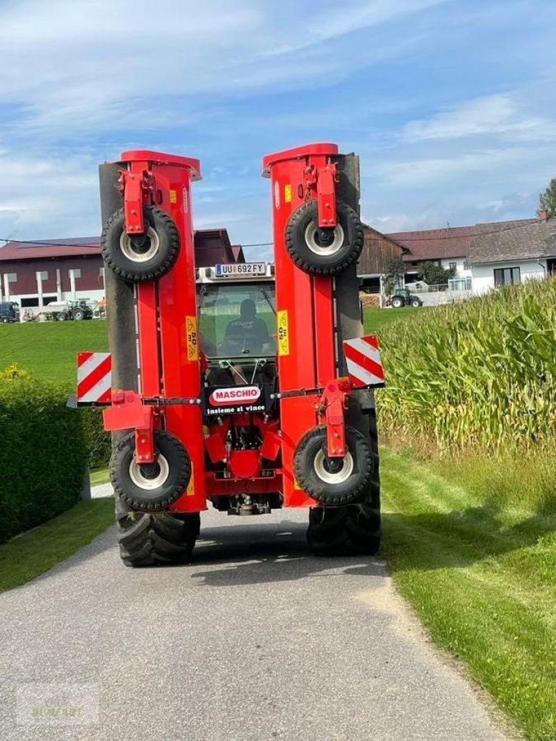 Maschio cemella 620 Topper 23.894 €