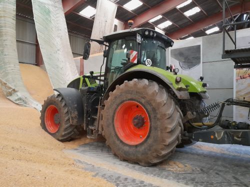 E-FARM: Claas Axion 920 - Tractor - id CC55EMJ - 145.000 € - Año: 2019 - Horas: 2700,Potencia del motor: 320,Francia