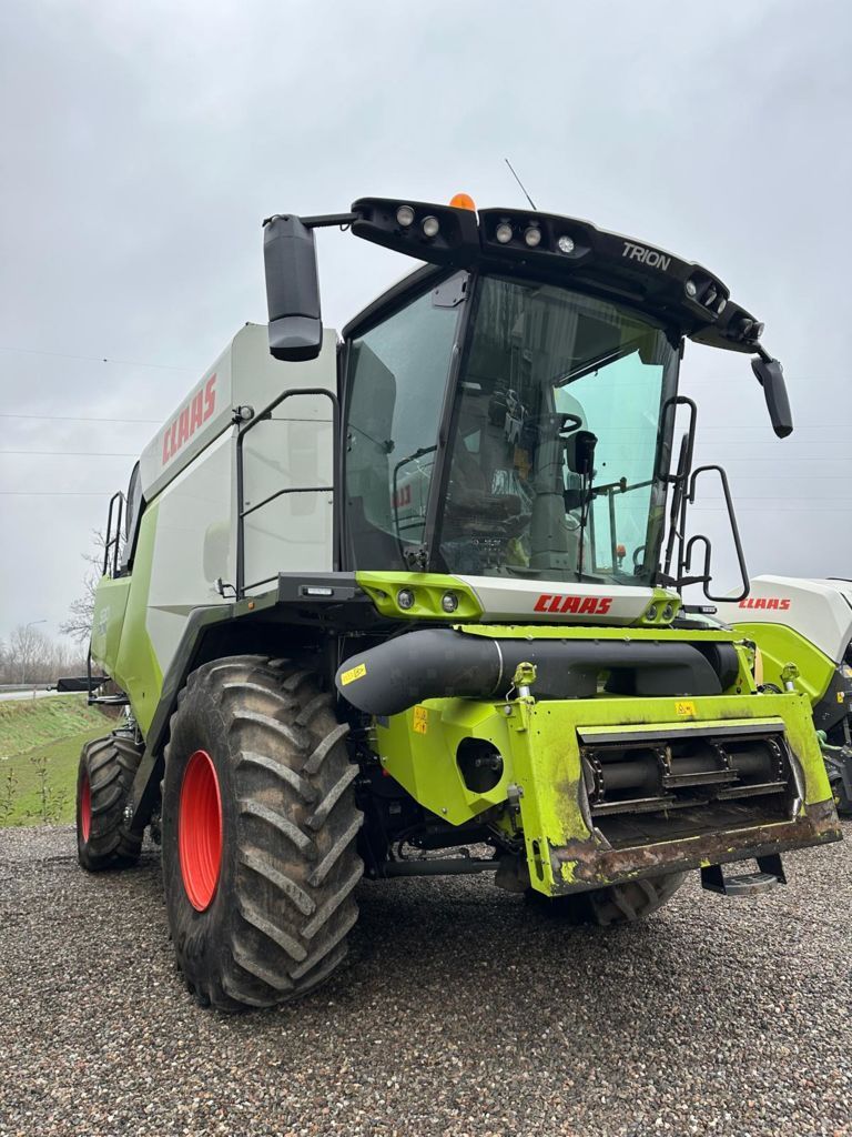 E-FARM: Claas Trion 530 - Kombajn zbożowy - id QU8RRGD - 170 000 € - Rok produkcji: 2023 - Włochy