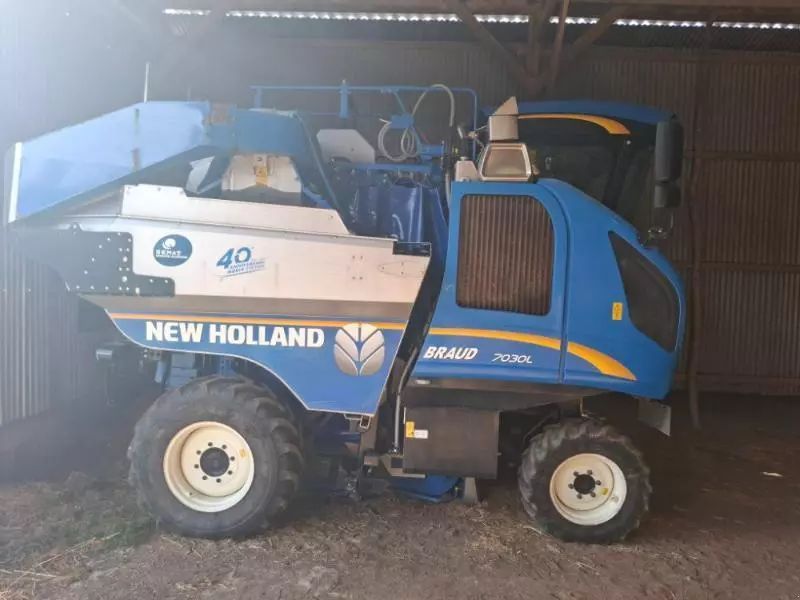 New Holland T 7030 Cosechadora de uvas 85.000 €