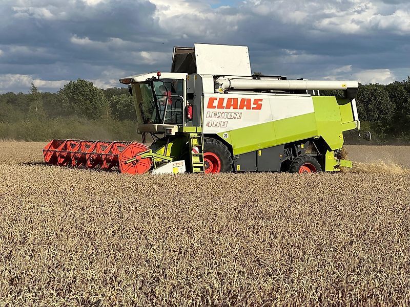 Claas Lexion 480 Cosechadora 42.230 €
