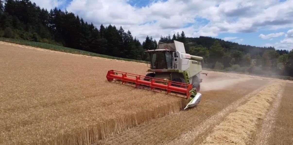 Claas Lexion 670 Montana Mähdrescher 165.000 €