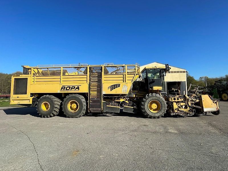 E-FARM: Ropa euro tiger - Equipo de recolección de remolacha - id KTBDRB8 - 64.693 € - Año: 2002 - Horas: 3464,Hungría