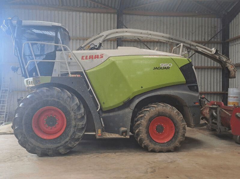 E-FARM: Claas Jaguar 950 - Самоходный кормоуборочный комбайн - id 1WKCZCQ - 195 000 € - Год выпуска: 2017 - Отработанные часы: 2 697,Франция