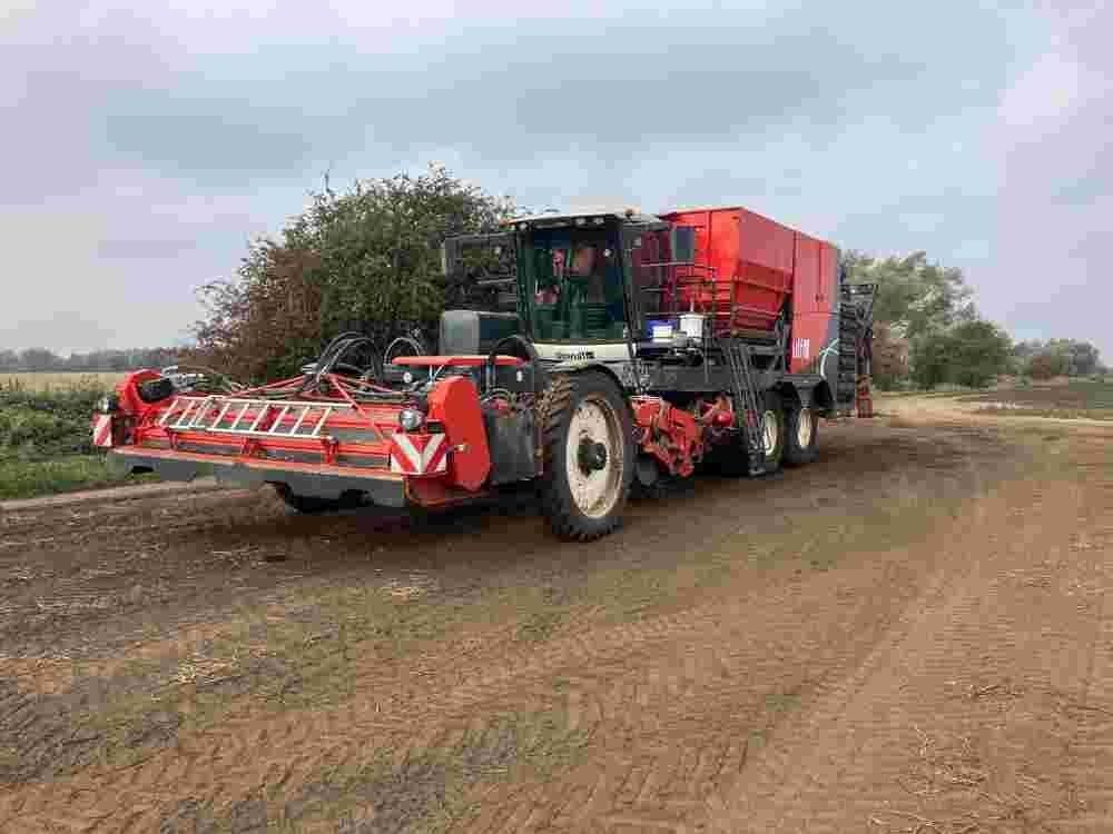 Dewulf enduro Potato harvester €549,576