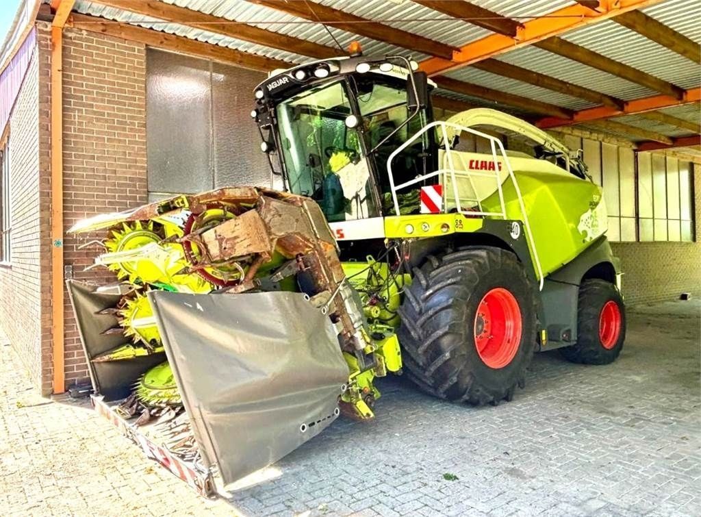 E-FARM: Claas Jaguar 870 - Cosechadora de forraje autopropulsada - id QHLWHPX - 251.260 € - Año: 2018 - Horas: 3,Potencia del motor: 585,Alemania