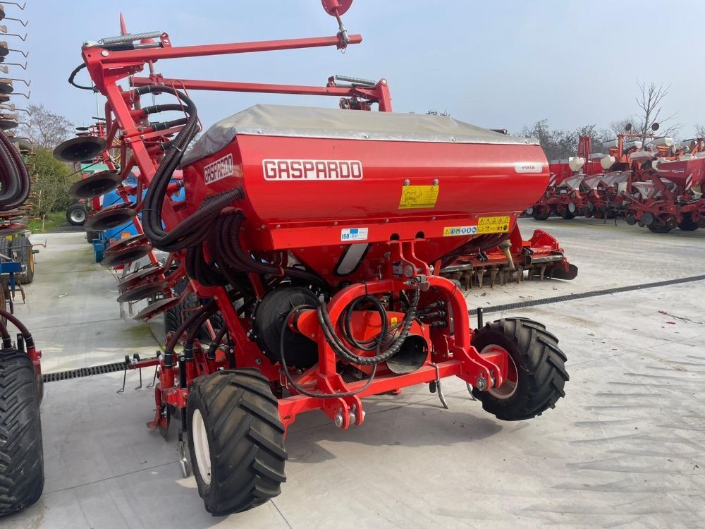 Gaspardo pinta 500 Burghiu