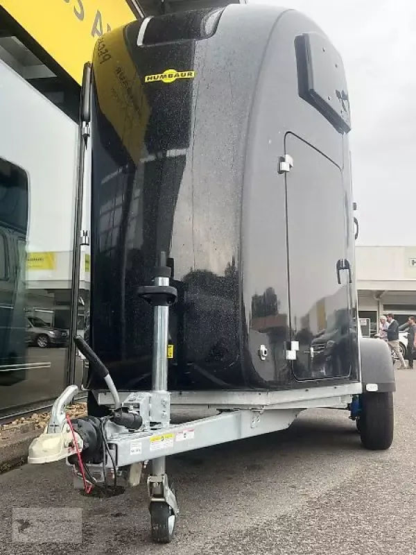 E-FARM: Humbaur pegasus 2 pferdeanhänger 2,4t neu sk panorama - Remorque - id GAY34CX - 11 799 € - Année: 2025 - Allemagne