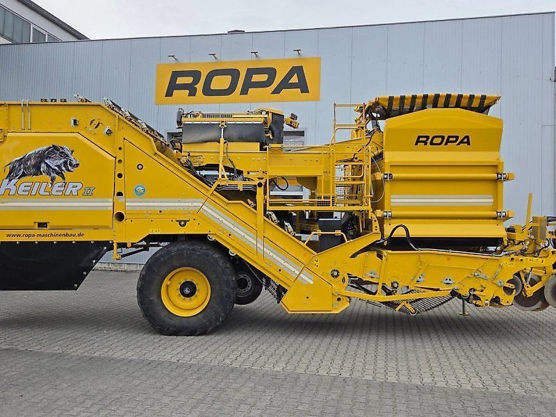 Ropa keiler ii Kombajn do ziemniaków