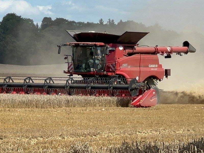 Case IH Axial-Flow 8250 Cosechadora