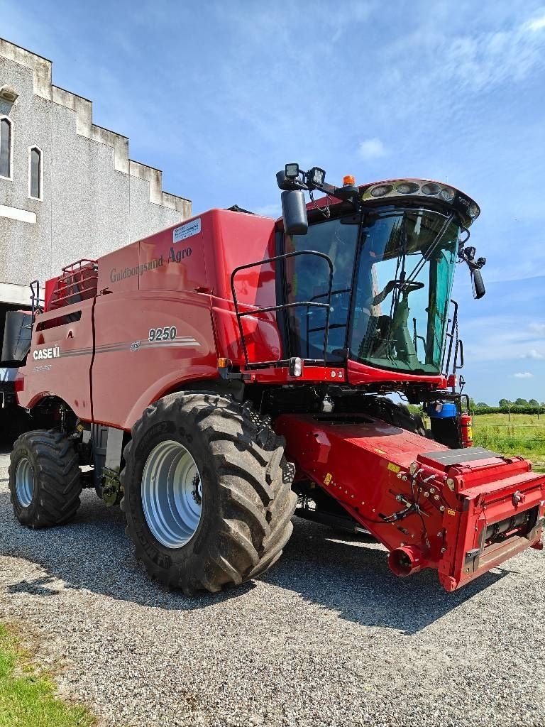 E-FARM: Case IH 9250 - Mähdrescher - id GVXIFS1 - Baujahr: 2021 - Abgelesene Motorstunden: 1.150,Motorleistung (PS): 634,Dänemark