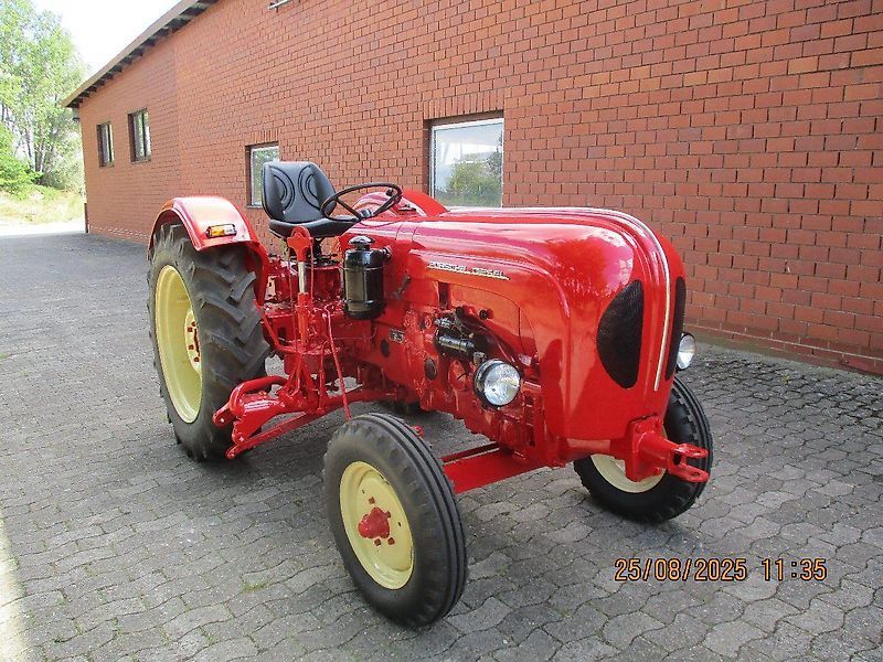 Porsche diesel super export 339 Tractor