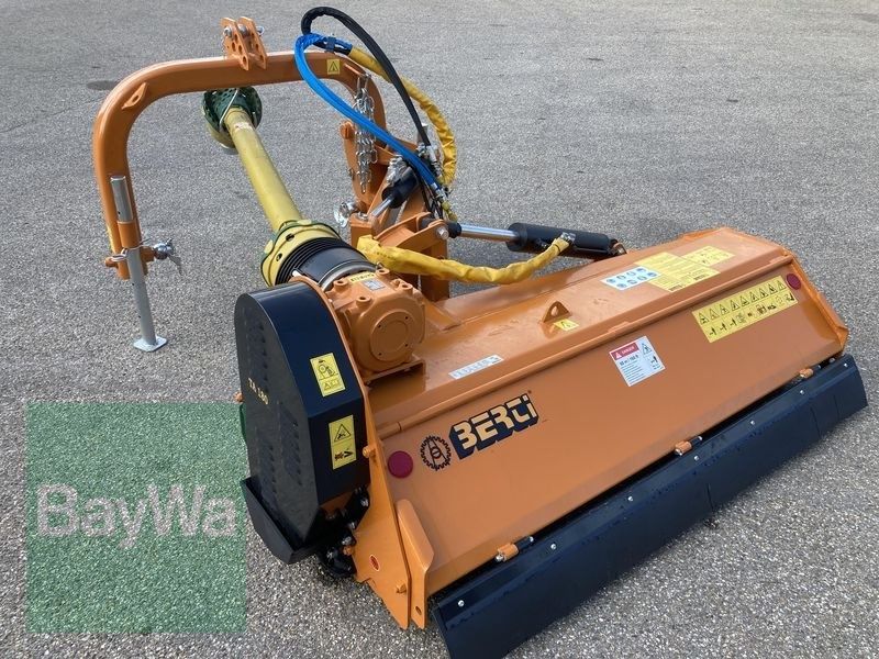 E-FARM: BERTI ta 180 - Topper - id LUWDZQ3 - €8,500 - Year of construction: 2021 - Germany