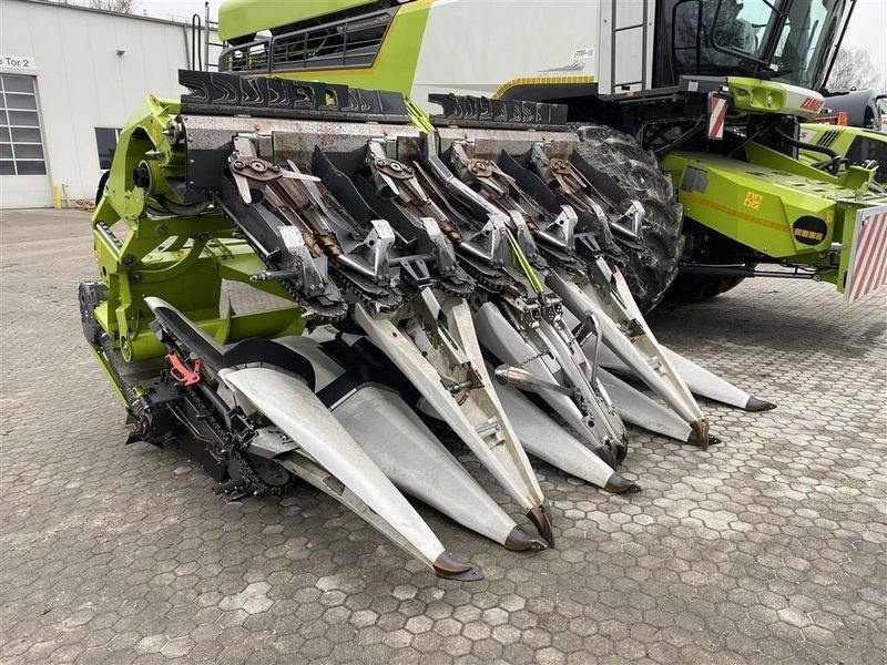 E-FARM: Claas Corio 875 FC - Erntevorsatz - id PIPPVII - 70.805 € - Baujahr: 2020 - Abgelesene Motorstunden: 150,Deutschland