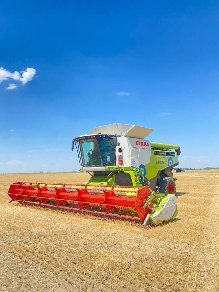 E-FARM: Claas Lexion 770 - Moissoneuse-batteuse - id YGITRXQ - 145 000 € - Année: 2014 - Lecture du nombre d'heure: 1 850,Puissance du moteur (chevaux): 585,Lituanie