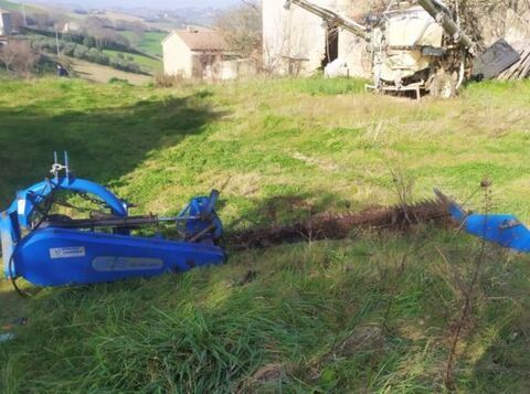 E-FARM: BCS duplex 220 - Falciatrice - tosaerba - id DJI3ZNJ - Italia