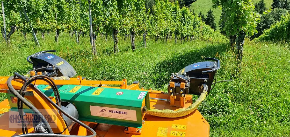 sonstige psenner sv 173/240 + held stockräumer orchard_and_vineyard_equipment_other €10,750