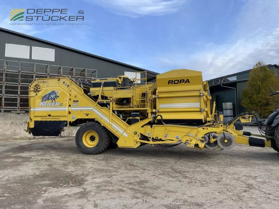 Ropa keiler ii wd+ds 3,0m Équipement pour les pommes de terre 225 250 €