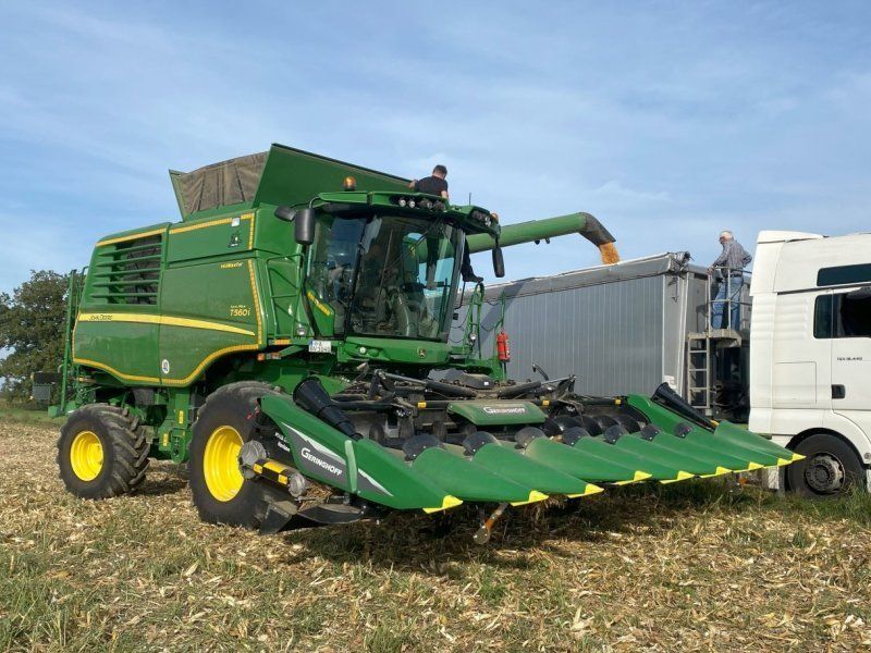 E-FARM: Geringhoff MS 800 - Cabezal - id LSKNXIZ - 75.800 € - Año: 2023 - Horas: 30,Alemania