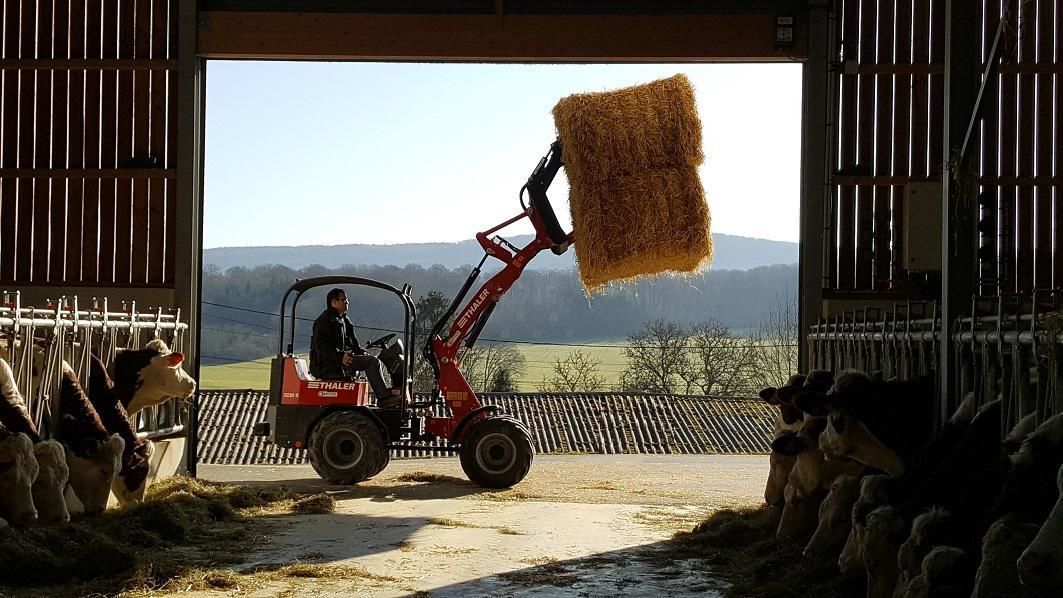 E-FARM: THALER 2238 S - Mini loader - id 1BJTRUU - Year of construction: 2017 - France