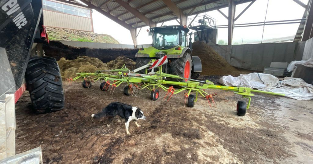 Claas Volto 770 Karuzelowy przetrząsacz do siana 6000 €