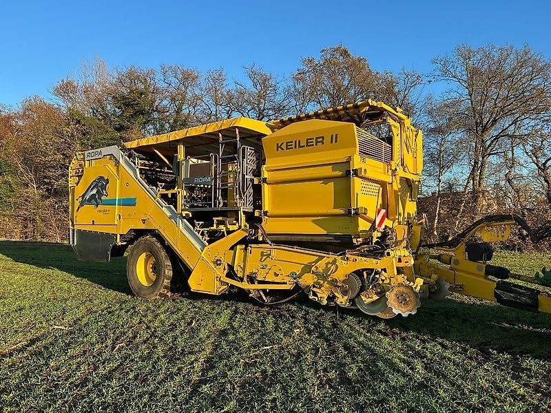 Ropa keiler ii classic Burgonya betakarító 178 500 EUR