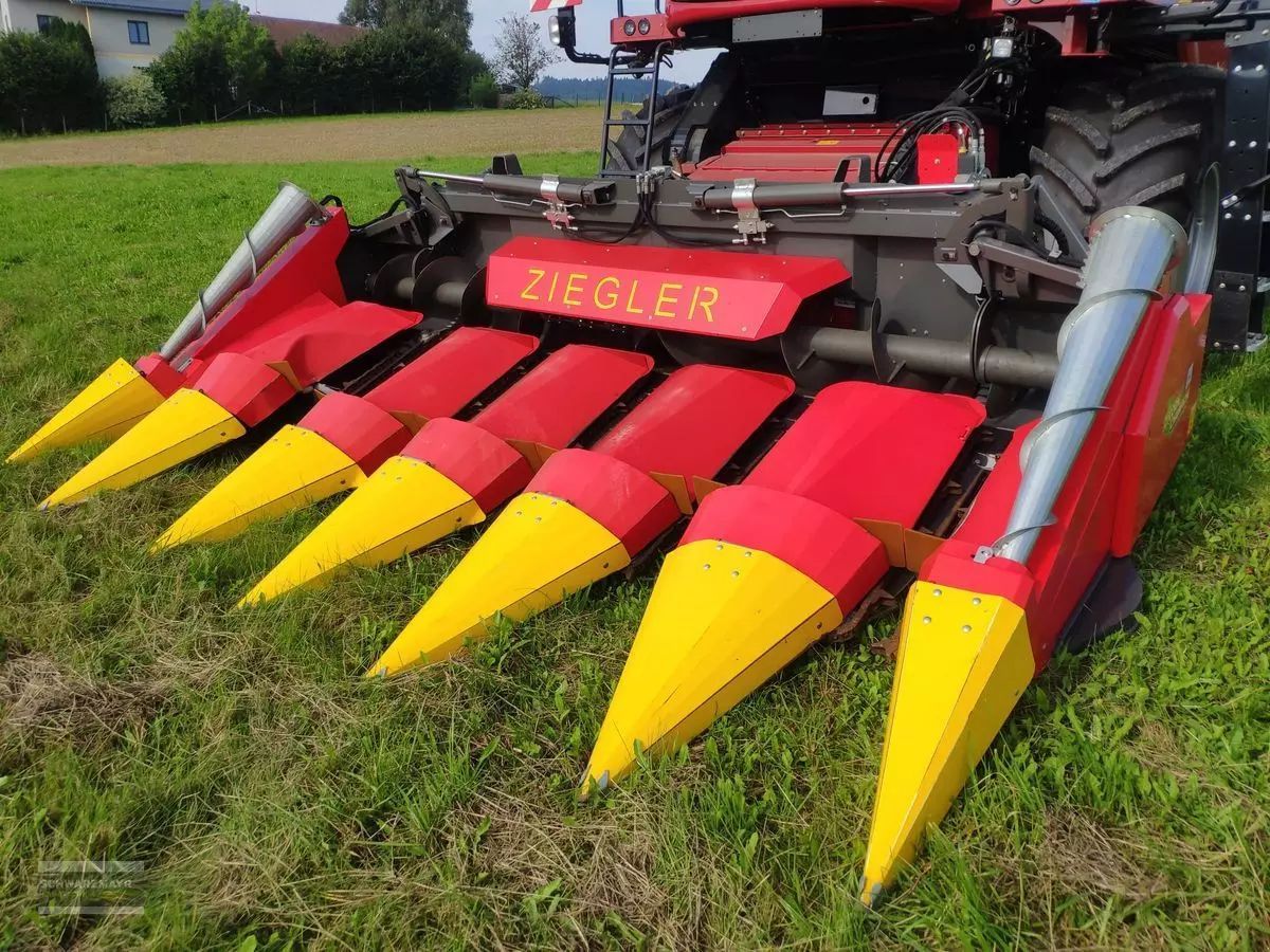 E-FARM: Ziegler cornchampion 6/70 - Header - id HD2GHCE - €32,960 - Year of construction: 2018 - Austria