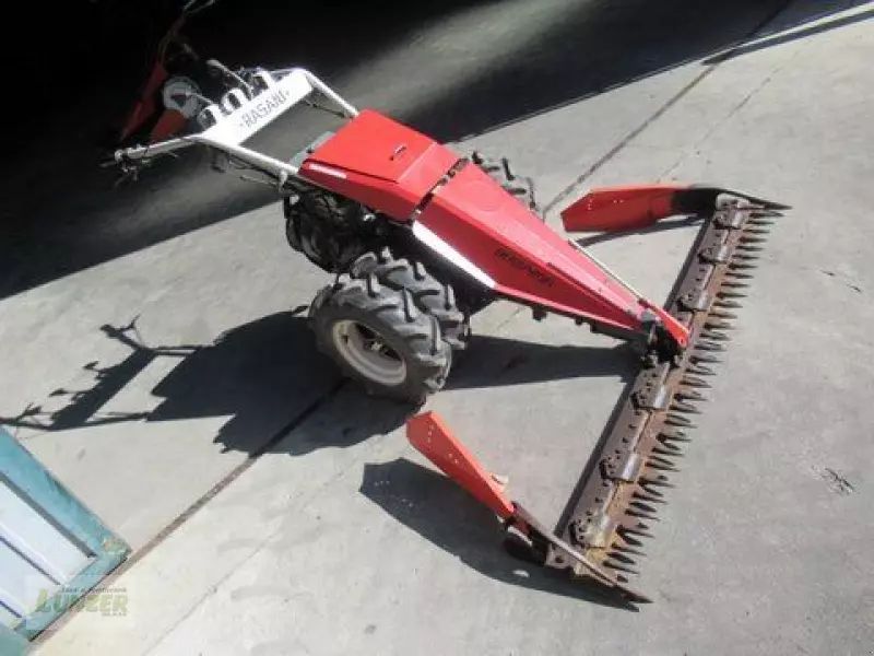 E-FARM: Rasant bergprofi 3 - Rasenmäher - id CDDPS4Z - 3.451 € - Österreich